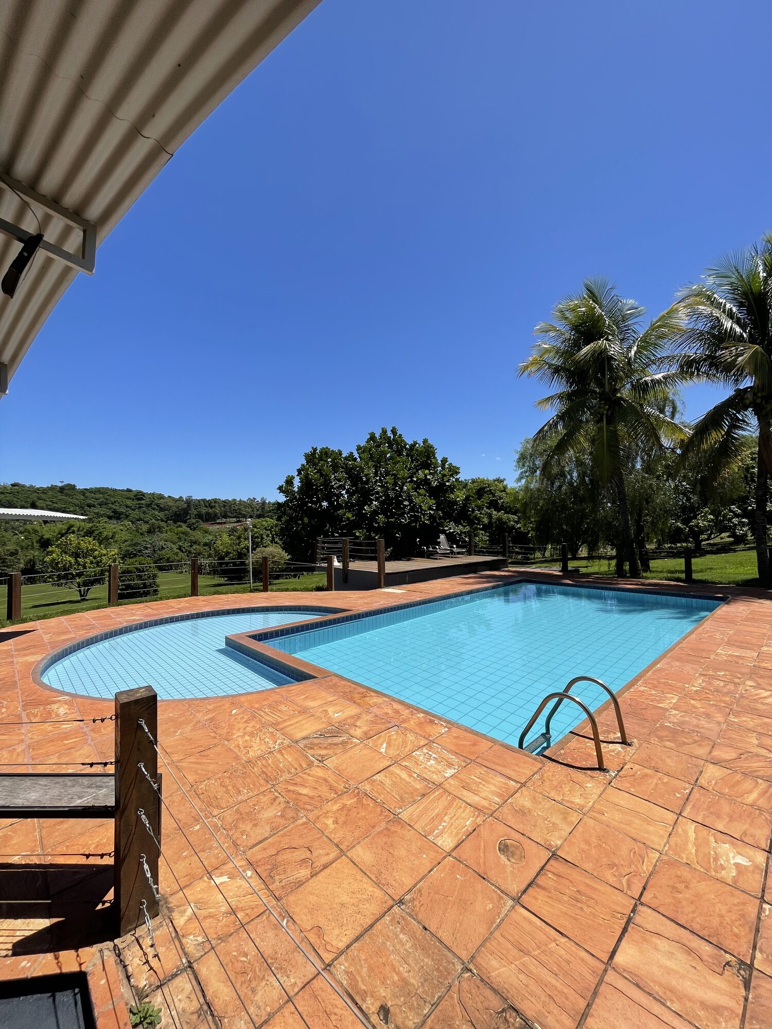 Piscina com deck e palmeiras